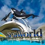SeaWorld San Diego