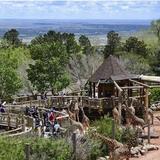 Cheyenne Mountain Zoo