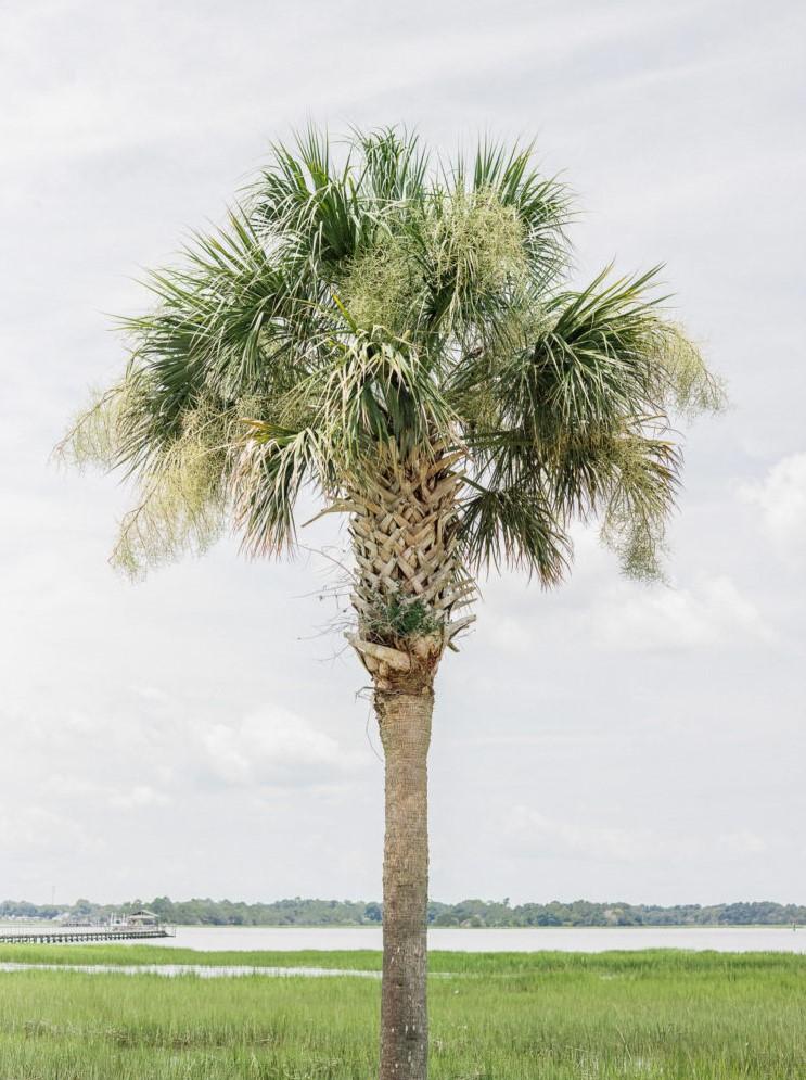 The Wedding Website of Chase Richardson and Ben Crane