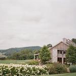 Pippin Hill Farm & Vineyards