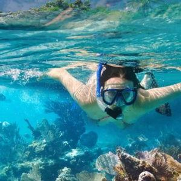 Snorkel and Sunset Sail on Honeymoon