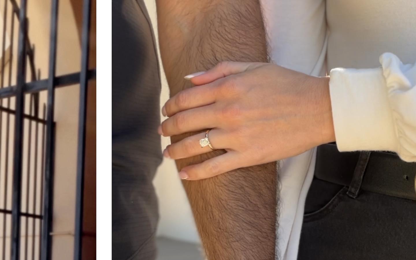 The Wedding Website of Chelsey Smith and Neeraj Shinde
