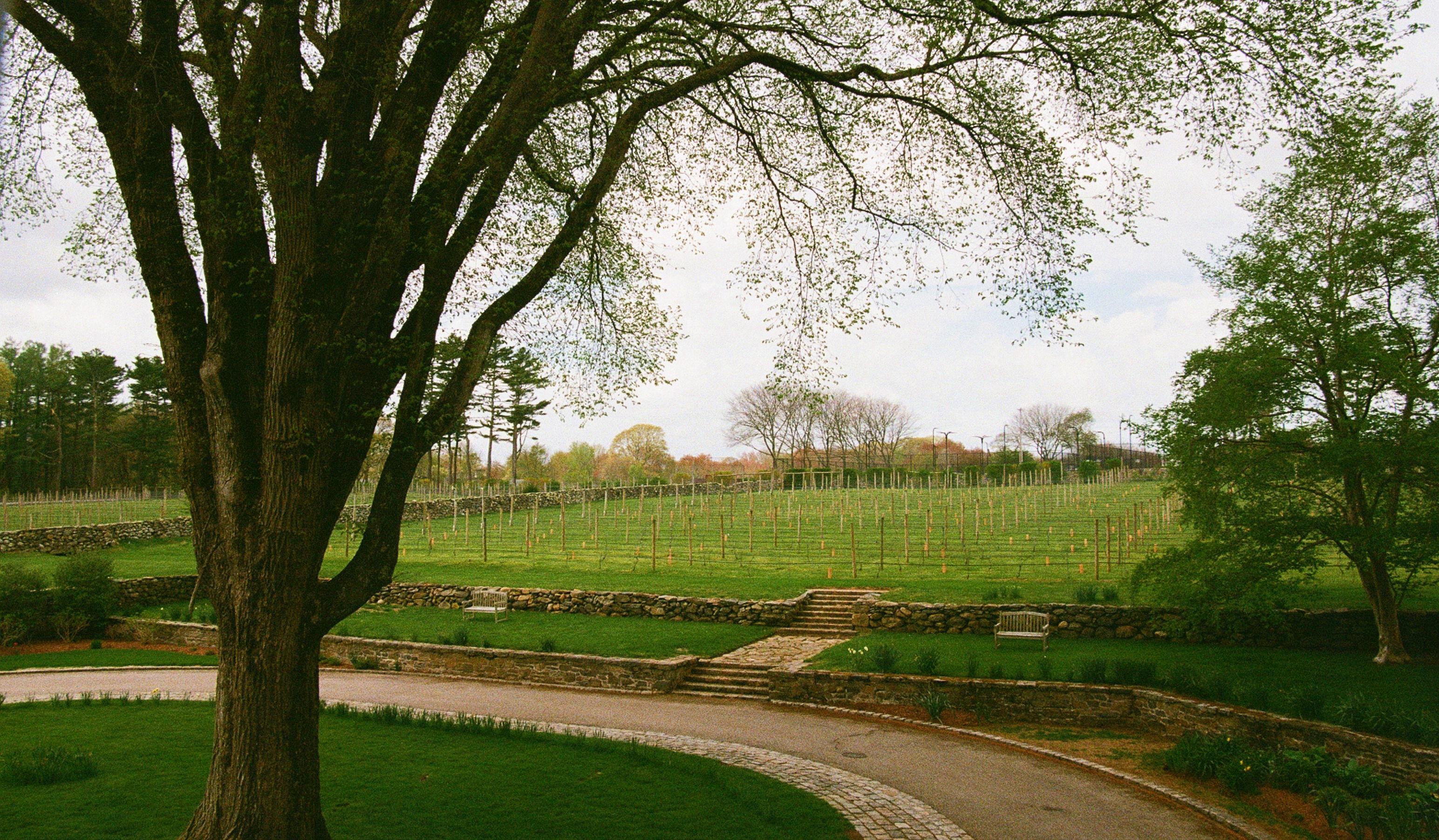 Hero Slideshow Image 2