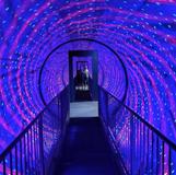 Place- Museum of Illusions Houston