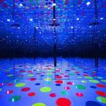 Mattress Factory Contemporary Art Museum