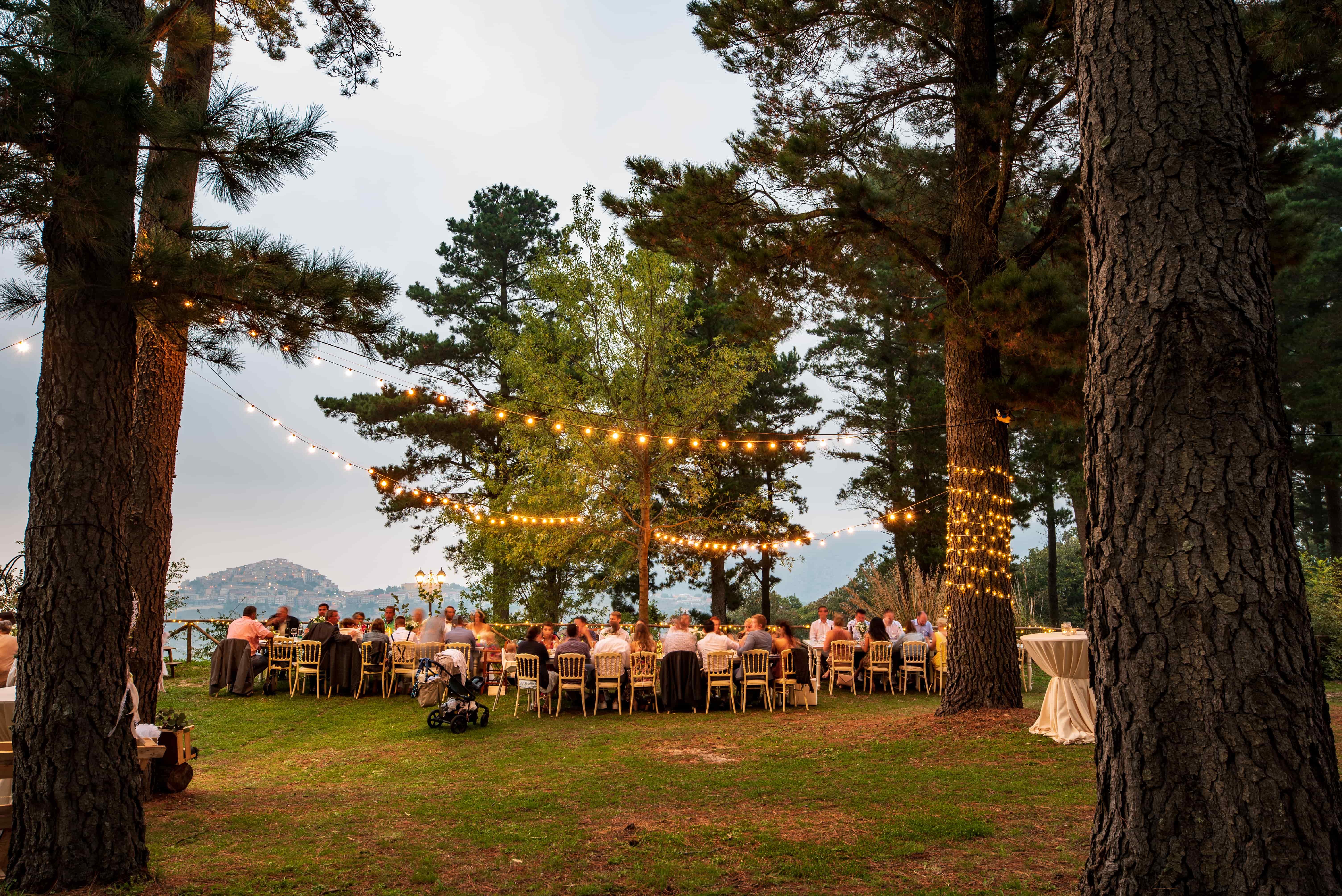 The Wedding Website of Adam Sweeny and Alice Michaelis