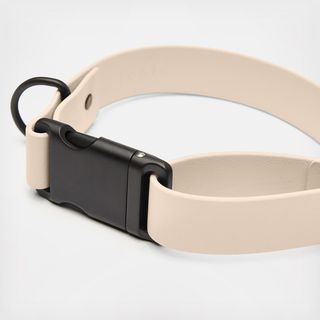 Signature Dog Collar