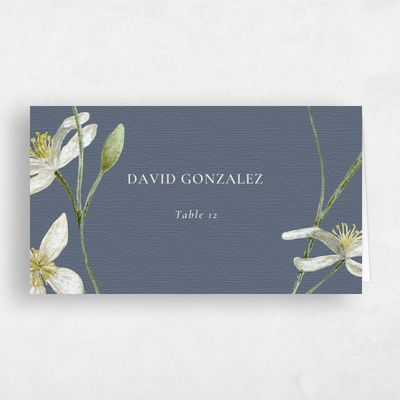 Slate, Blue Wedding Place Card - Marlette
