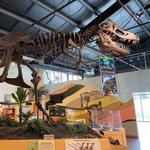 Rocky Mountain Dinosaur Resource Center