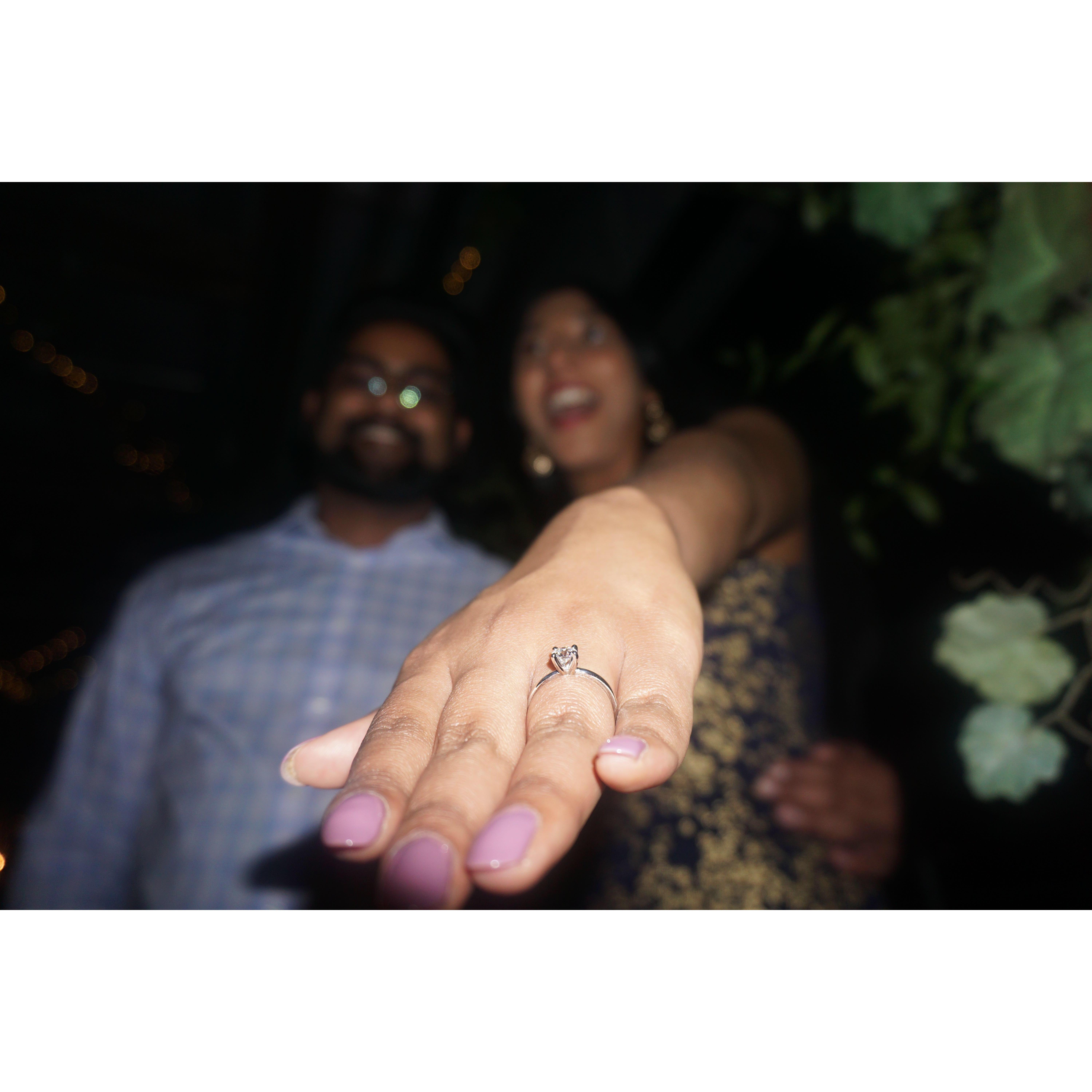 Proposal on 4/27/2019- Got Engaged!