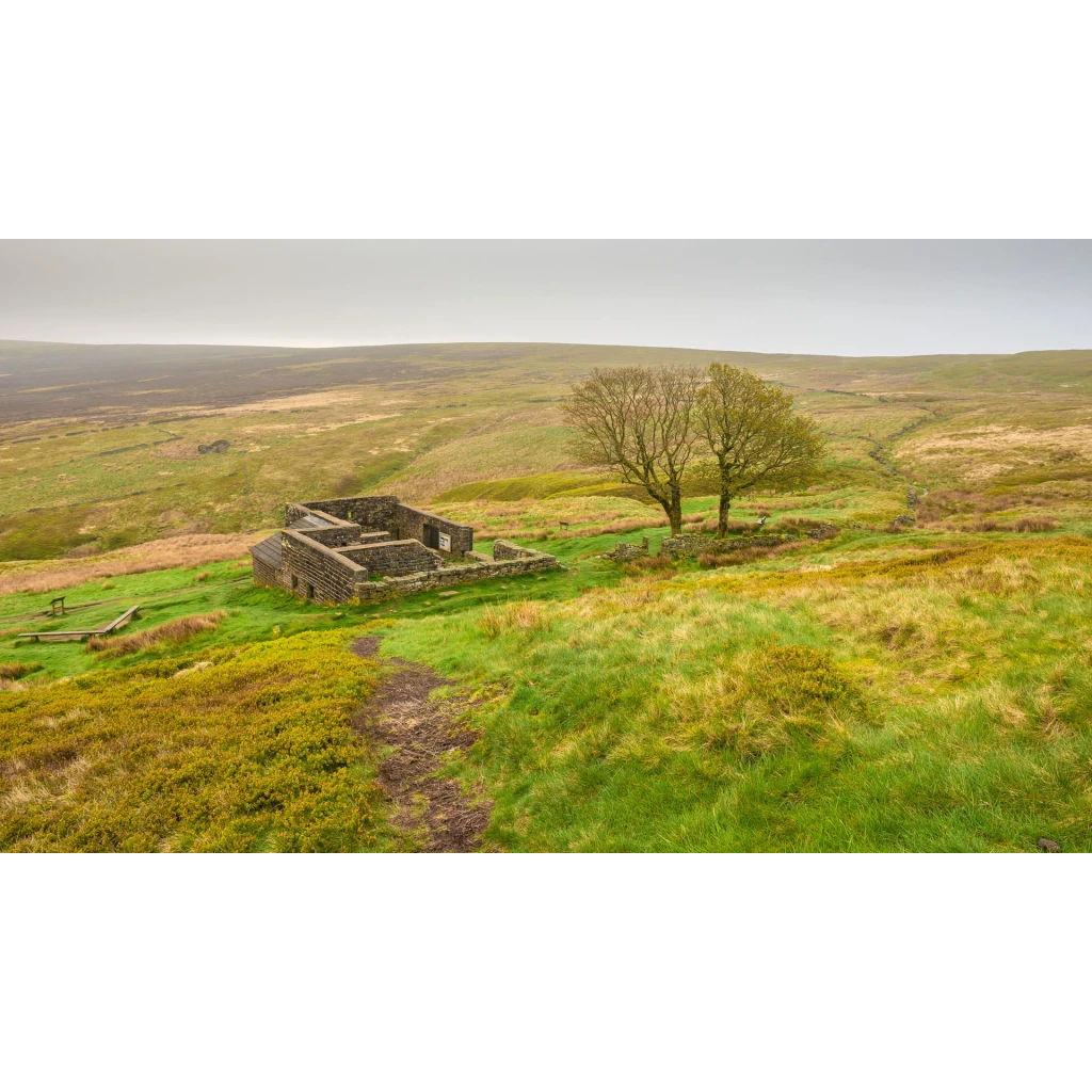 Where Evan proposed - under the tree at Top Withens.