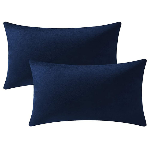 DEZENE Couch Pillow Cases 12x20 Navy: 2 Pack Cozy Soft Velvet Rectangular Throw Pillow Covers for Farmhouse Home Decor