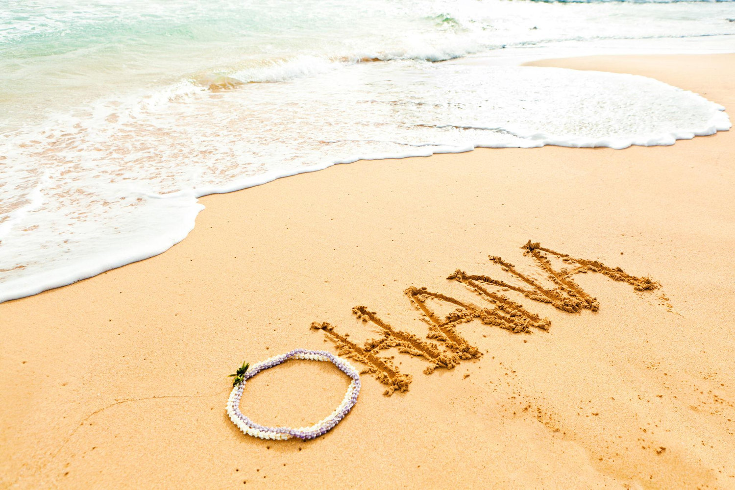 The Wedding Website of Meg Wright and Kelson Smith