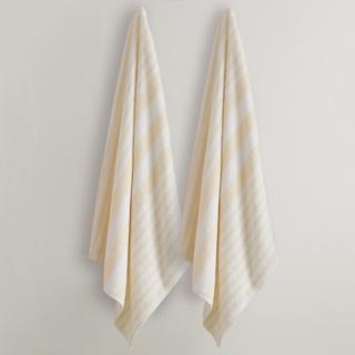 Tropical Stripe Beach Towel, Set of 3