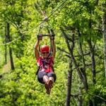 Navitat Canopy Adventures