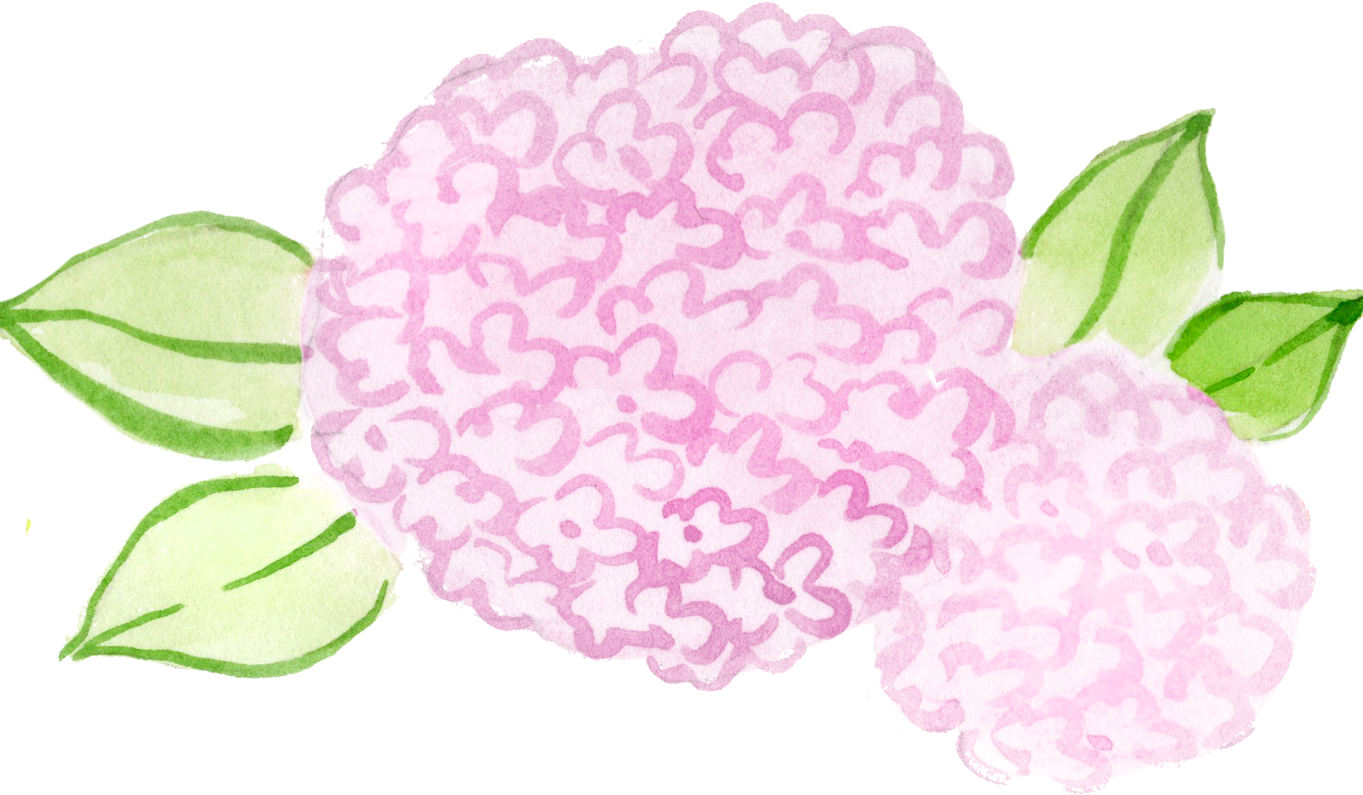 Footer image