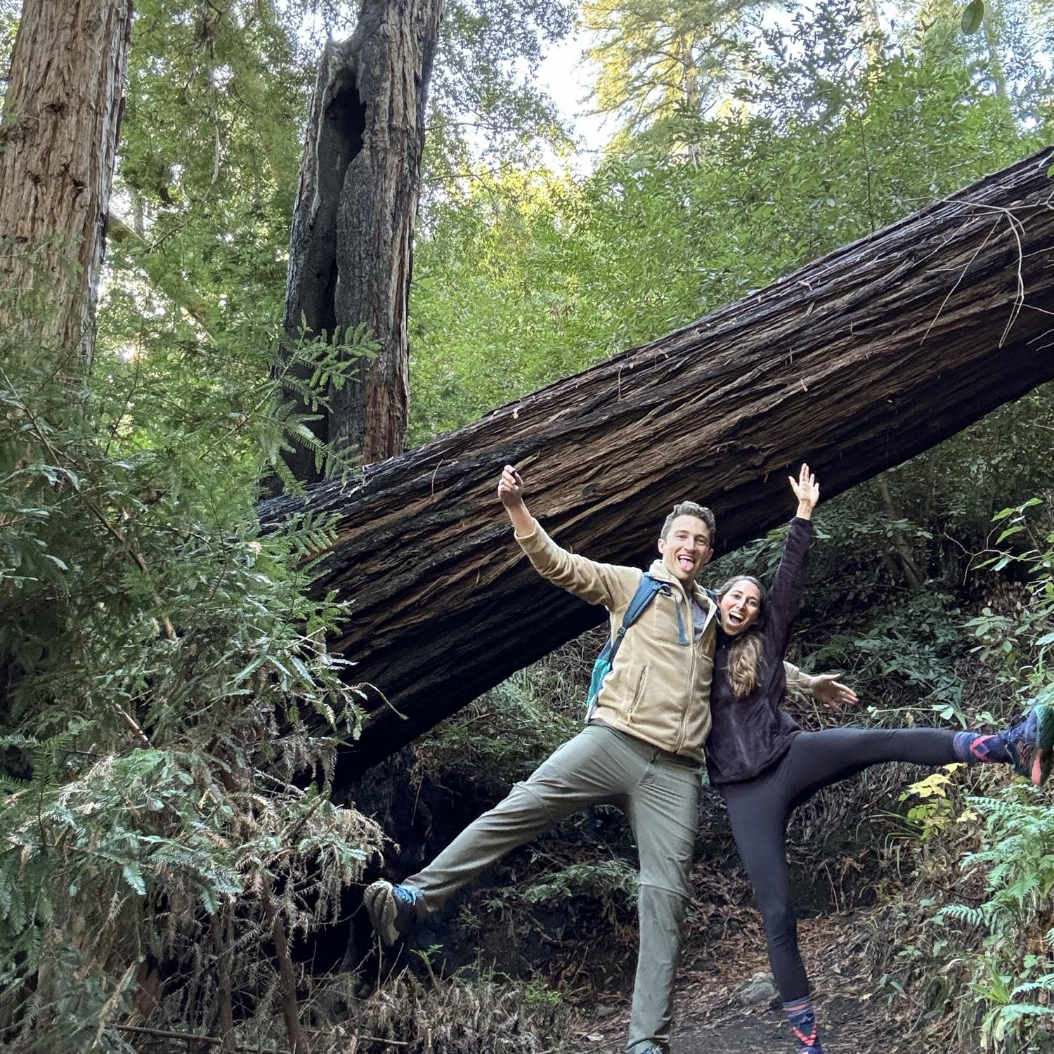 Jeff is actually desensitizing me with the tripod under the redwoods