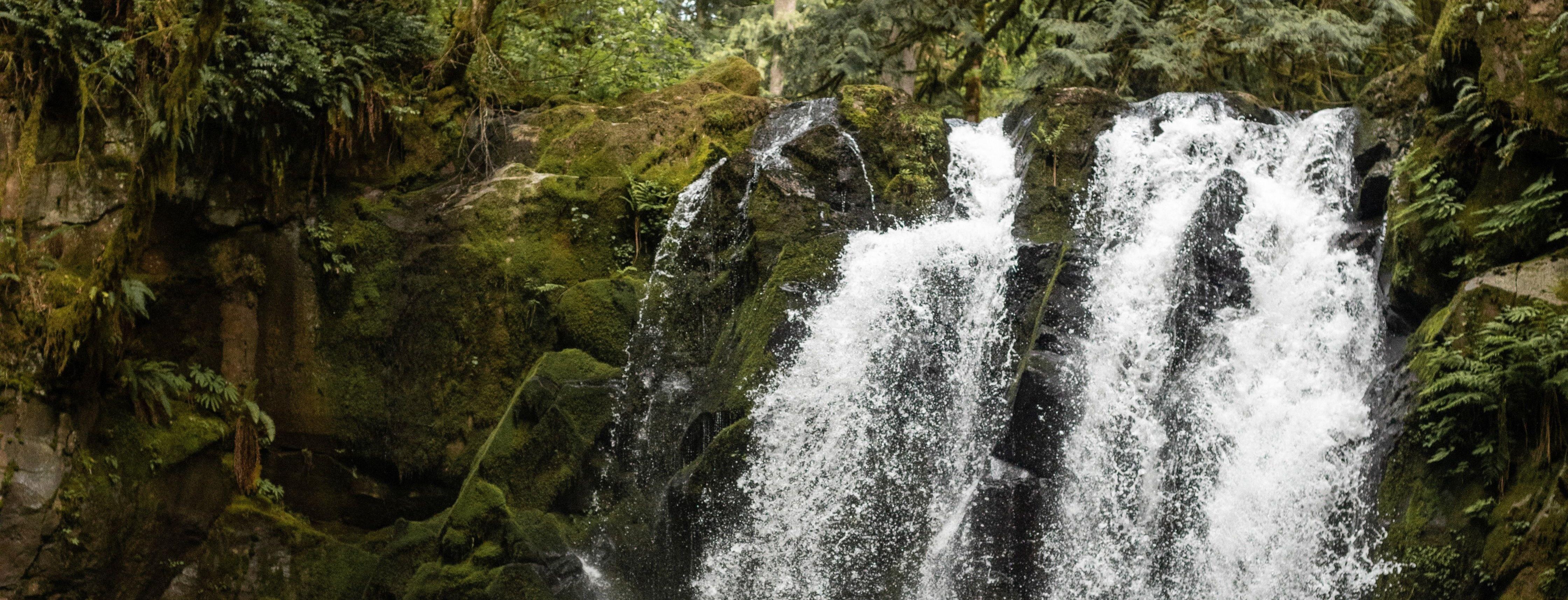 The Wedding Website of Julia Zeigler and Isaac Wegner