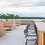 Quirk Hotel Rooftop