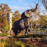 Saint Louis Zoo