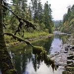 Trails and Wilderness of Trout Creek