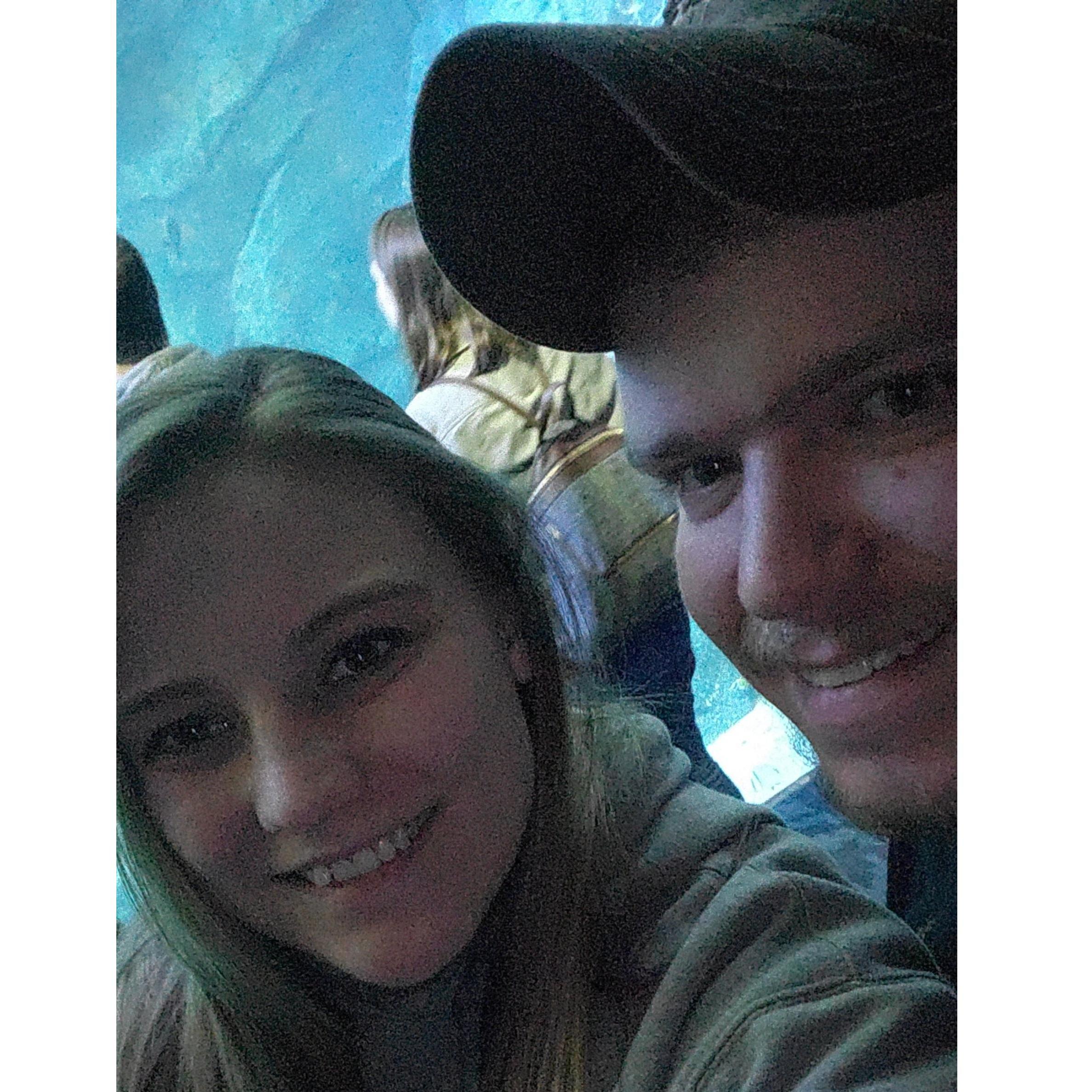 Trip to the aquarium