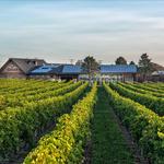 Newport Vineyards & Restaurant