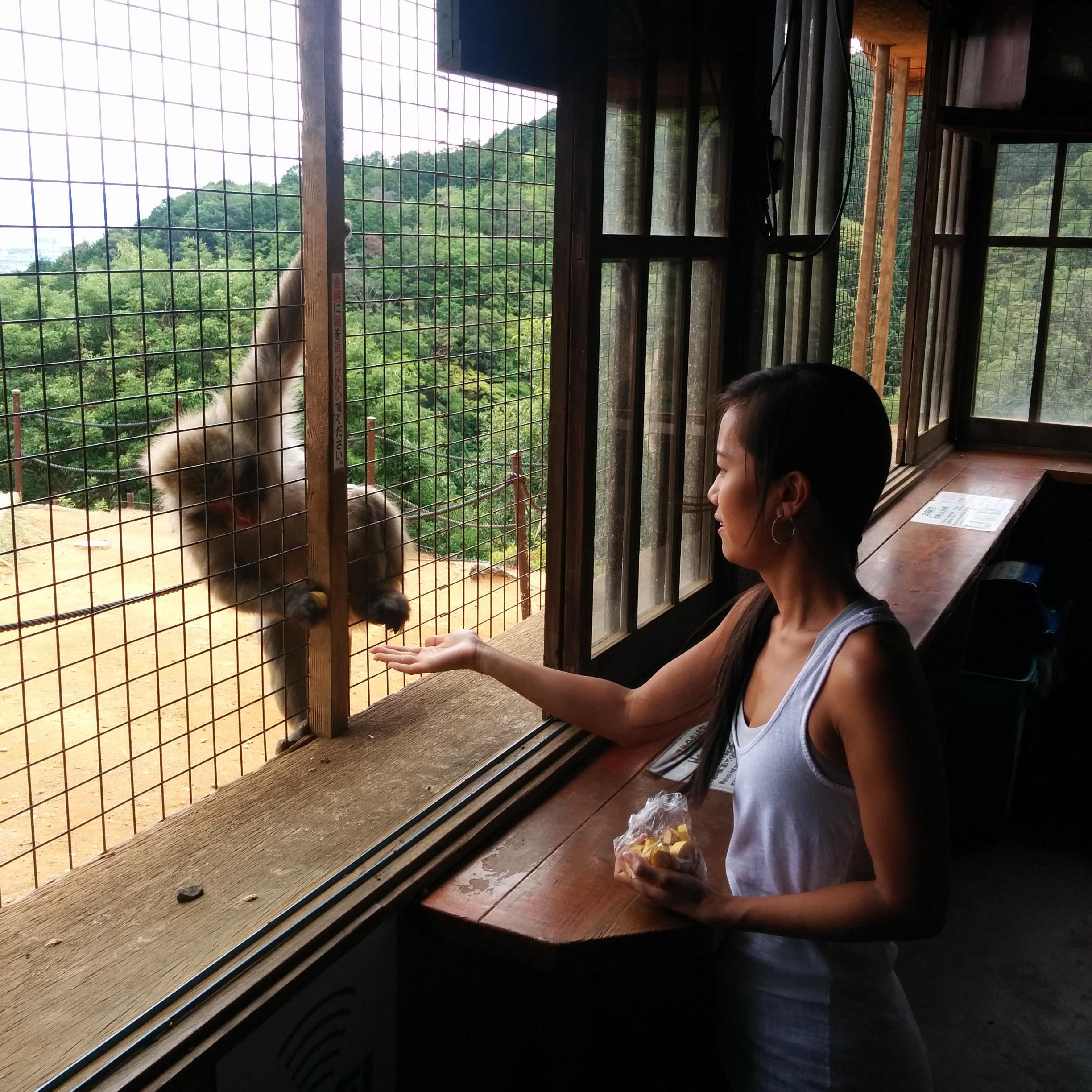 ...monkeying around in Japan...