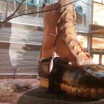 L.L. Bean
