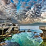 Monterey Bay Aquarium