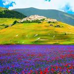 Castelluccio di Norcia