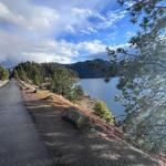 Higgens Point