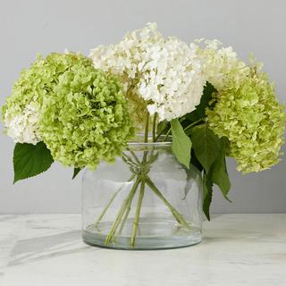Bloom Vase