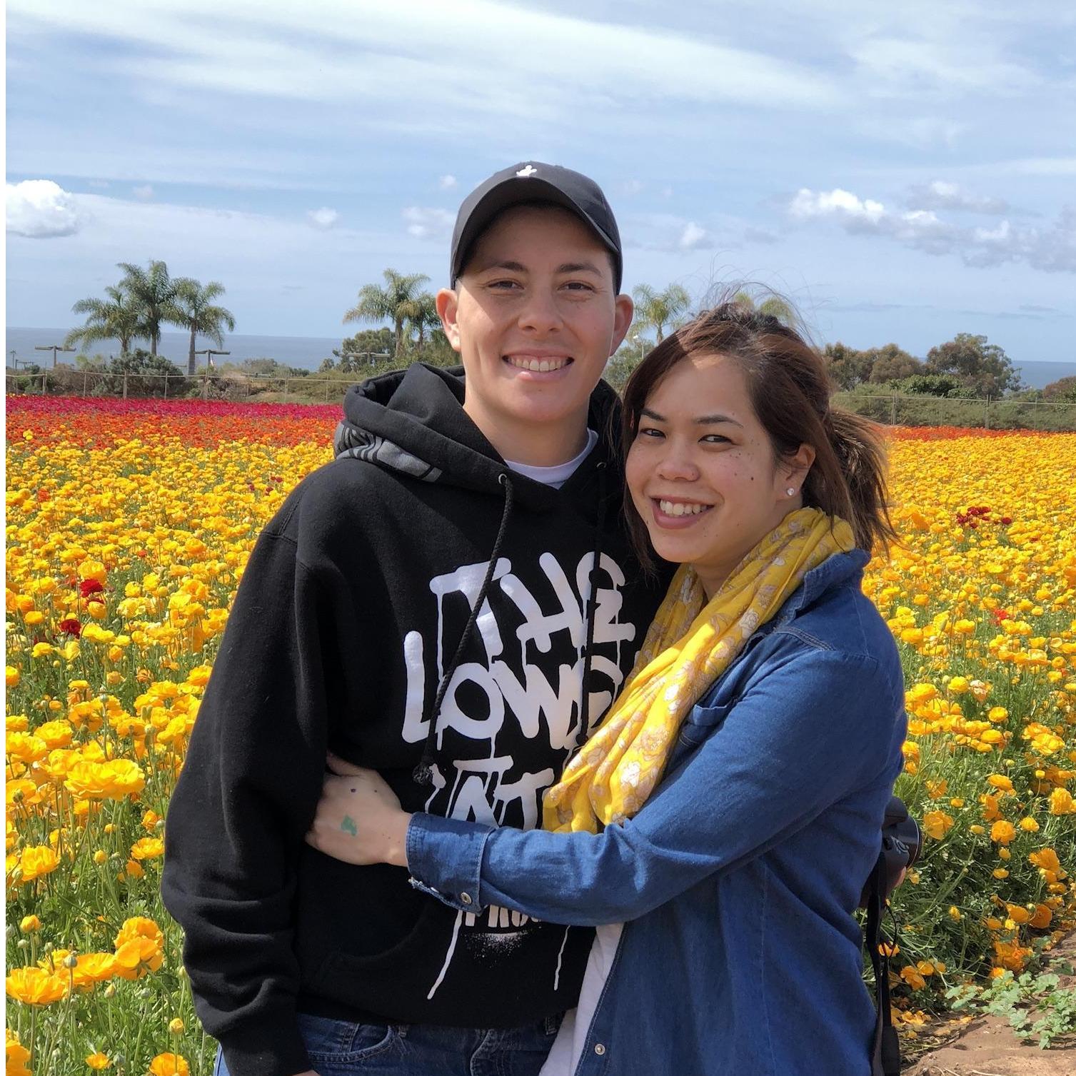 Carlsbad Flower Fields 2018