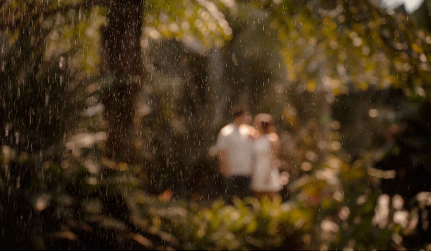 The Wedding Website of Sandra Letkeman and Ryan Smiley