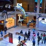 Houston Museum of Natural Science