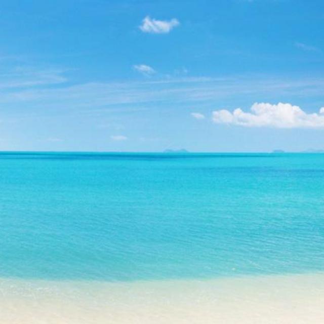Honeymoon Adventures on Honeyfund.com