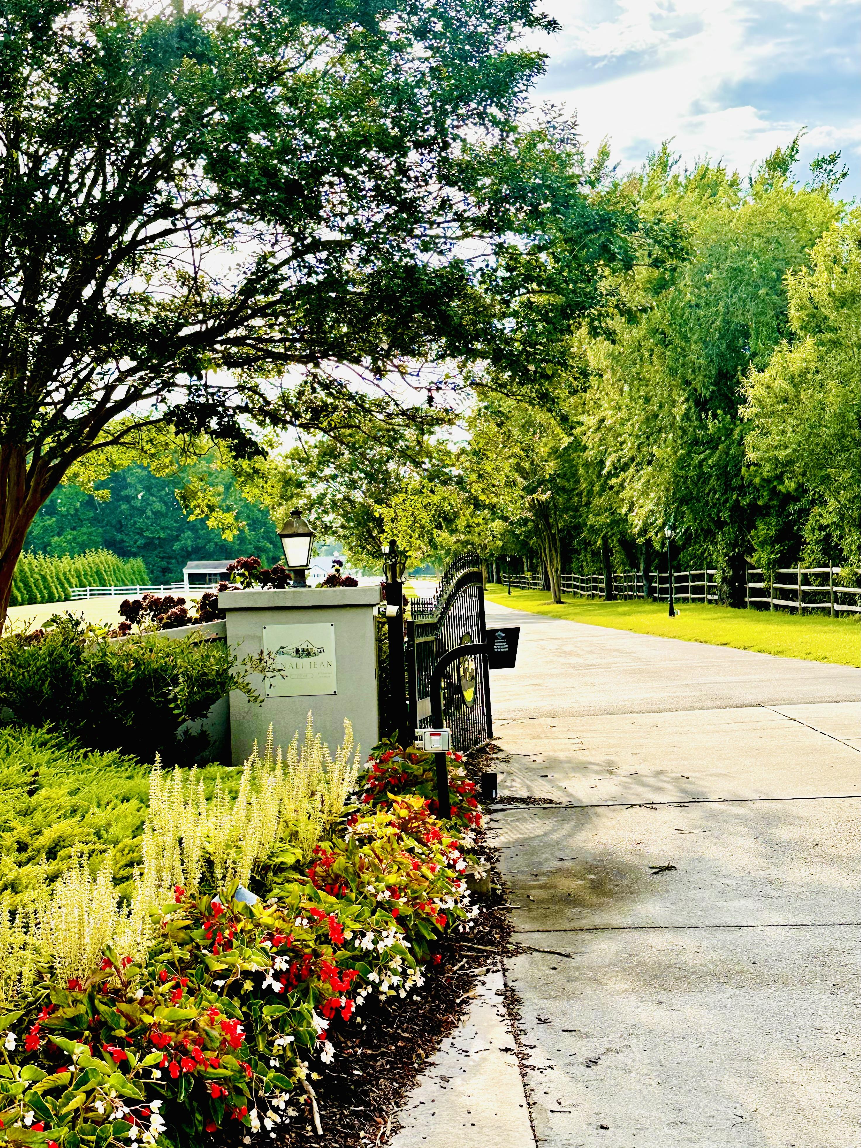 The Wedding Website of Miranda Delaney and Mitch Fallon