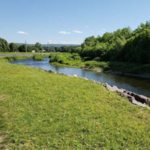 Yetter Park