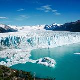 Calafate