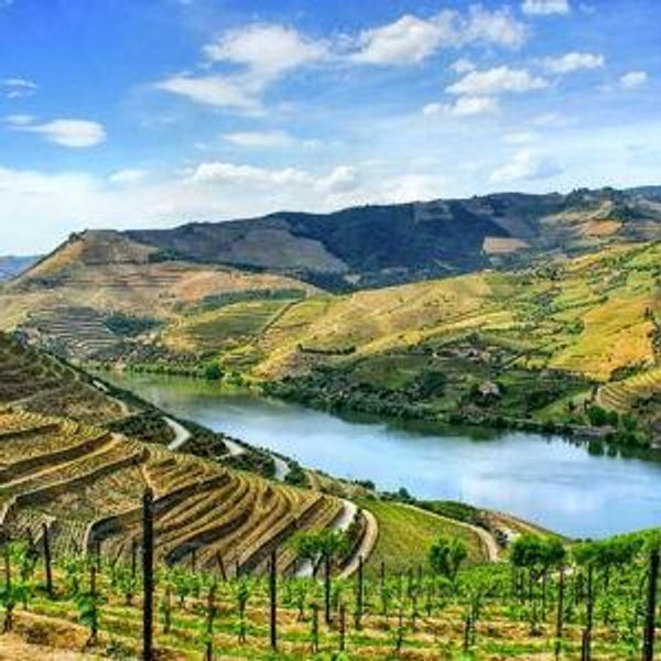 Honeymoon - Douro Valley Wine Tour and River Cruise