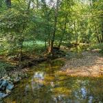 Mingo Creek County Park