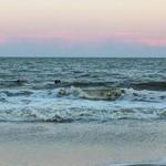 Folly Field Beach
