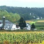 Amish Experience
