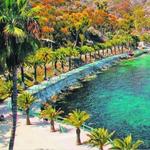 Santa Catalina Island