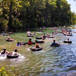 Scotts Creek Tubing at Willets Depot & Campground