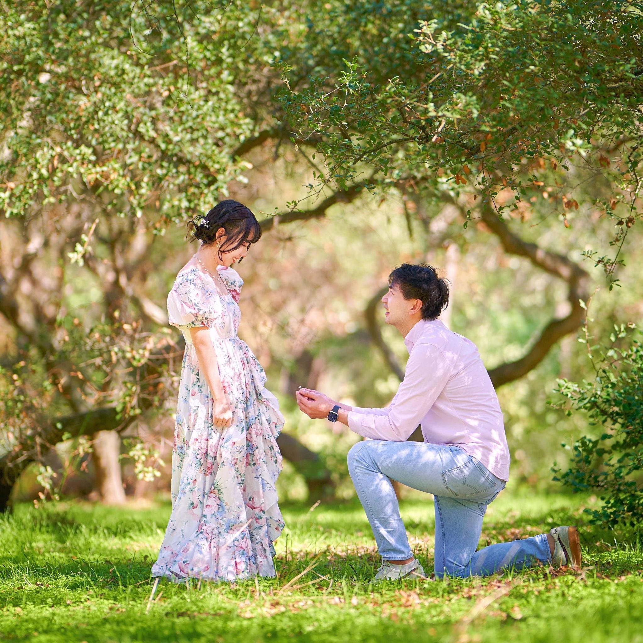 Proposal
