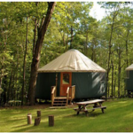 Yurt Facts