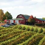 Carter Mountain Orchard