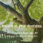 Rye Nature Center